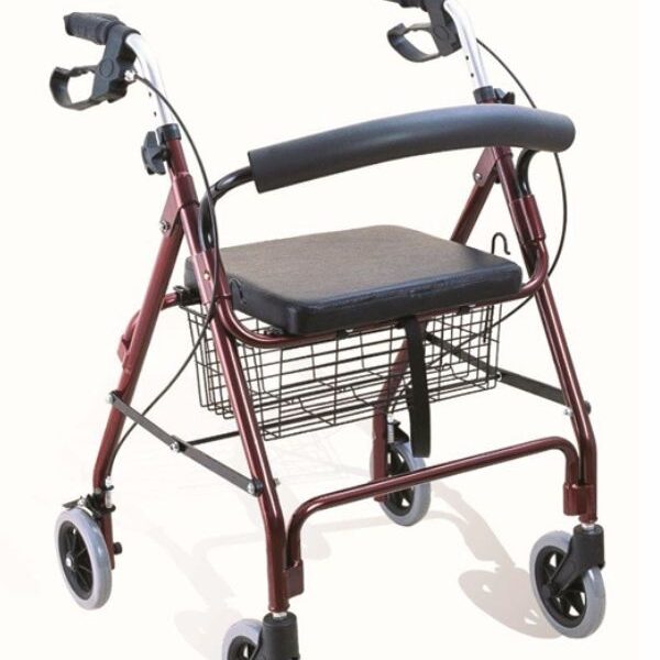 Rollator standard pour adulte